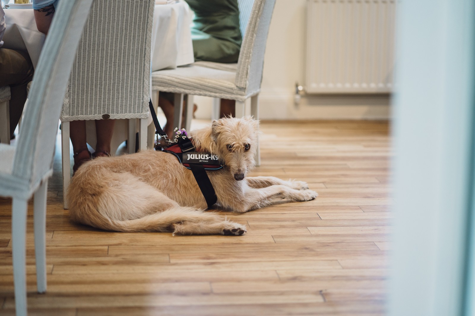 Nicola & Phil's Abbeywood Estate Wedding Nicola & Phil's Abbeywood Estate Wedding