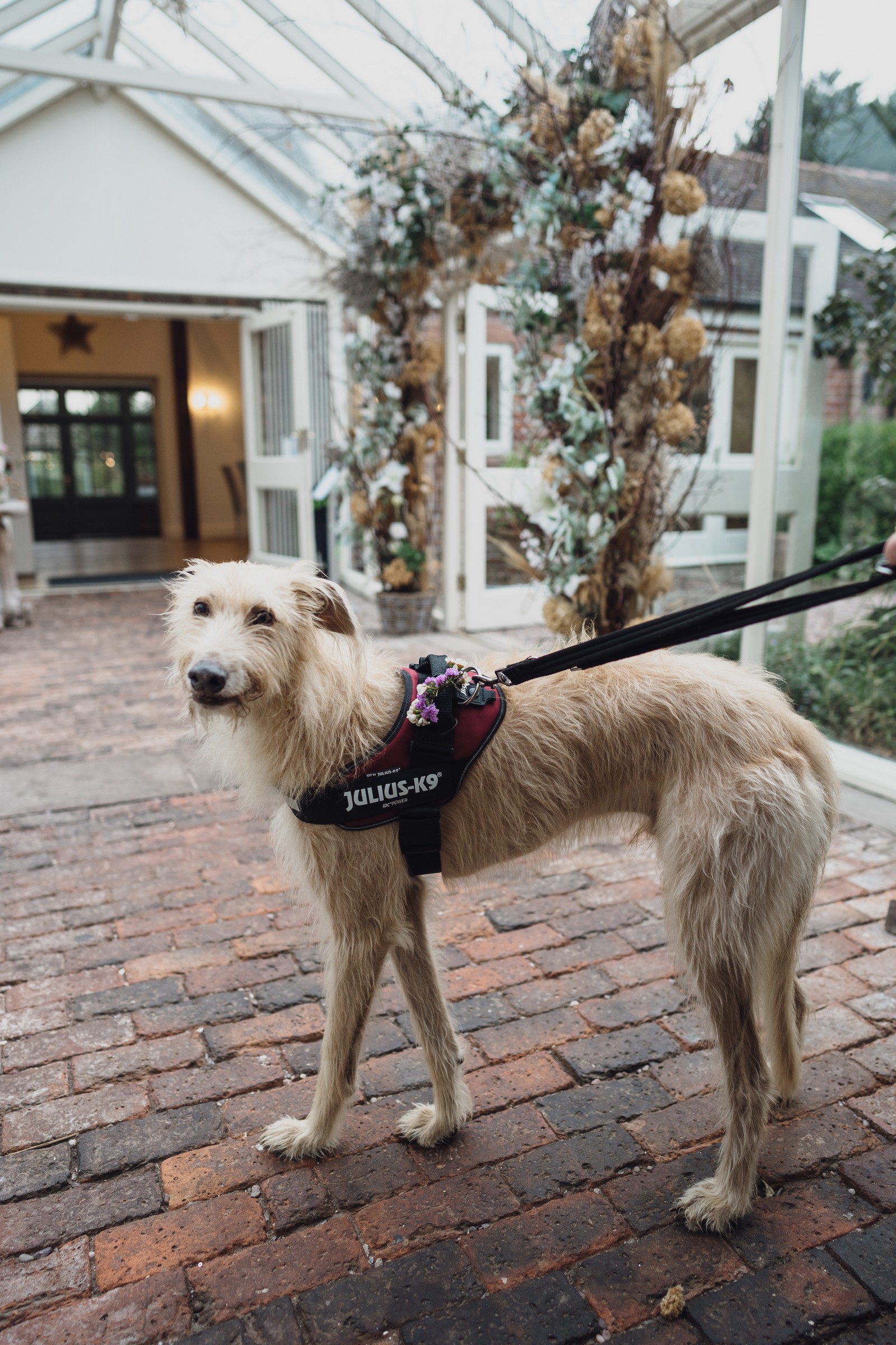 Nicola & Phil's Abbeywood Estate Wedding Nicola & Phil's Abbeywood Estate Wedding