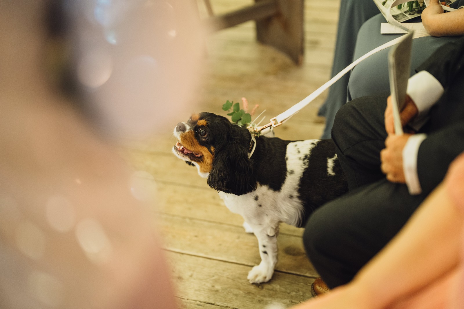 Emma & Samantha’s Sensational Summer Wedding at Rylands Farmhouse Emma & Samantha’s Sensational Summer Wedding at Rylands Farmhouse