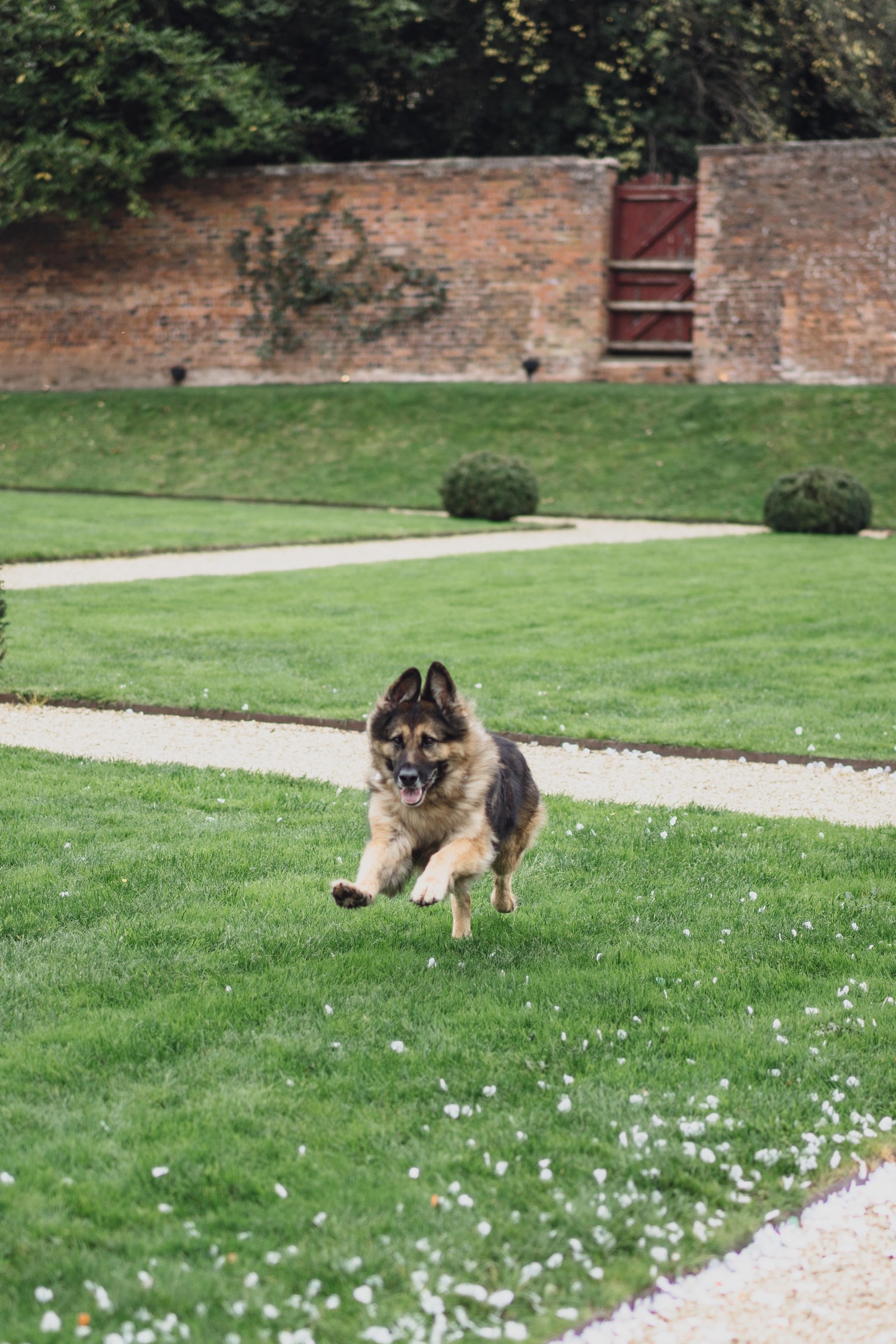 Emma & Steve’s Fun, Colourful, and Relaxed Wedding at Foxtail Barns