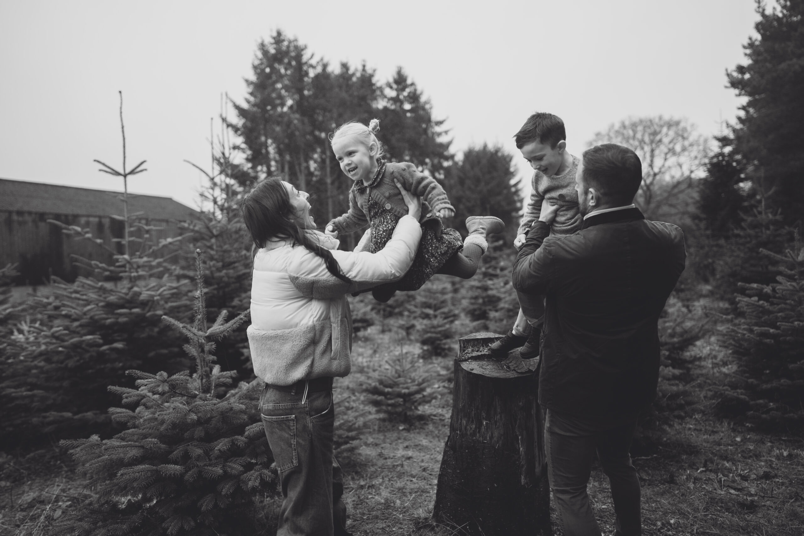 Christmas Tree Farm Mini shoots in Cheshire