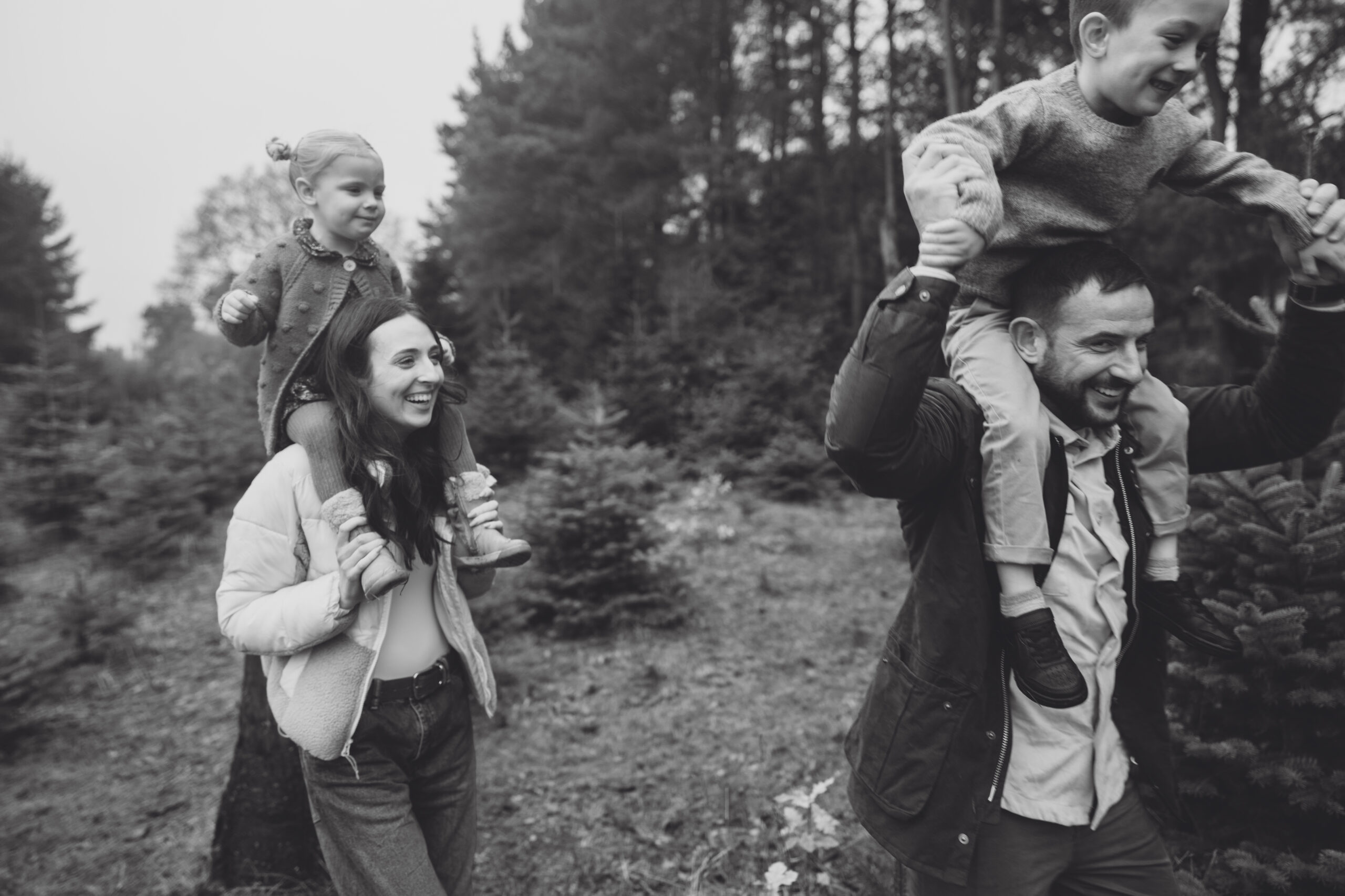 Christmas Tree Farm Mini shoots in Cheshire