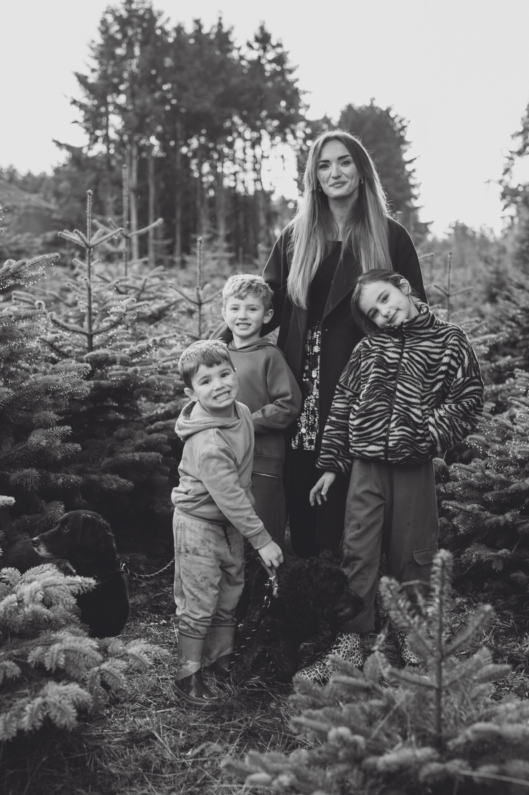 Christmas Tree Farm Mini shoots in Cheshire