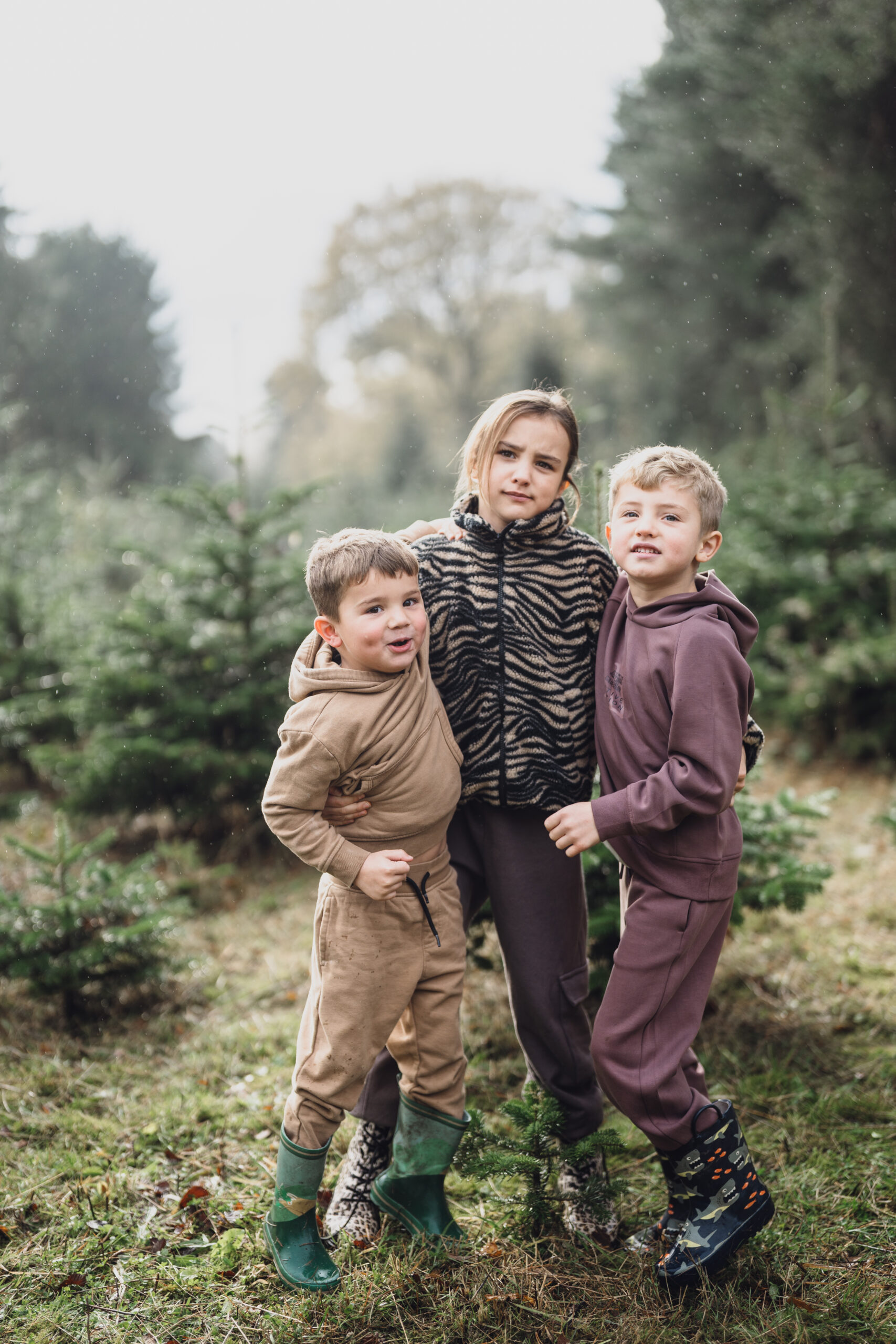christmas tree farm in cheshire