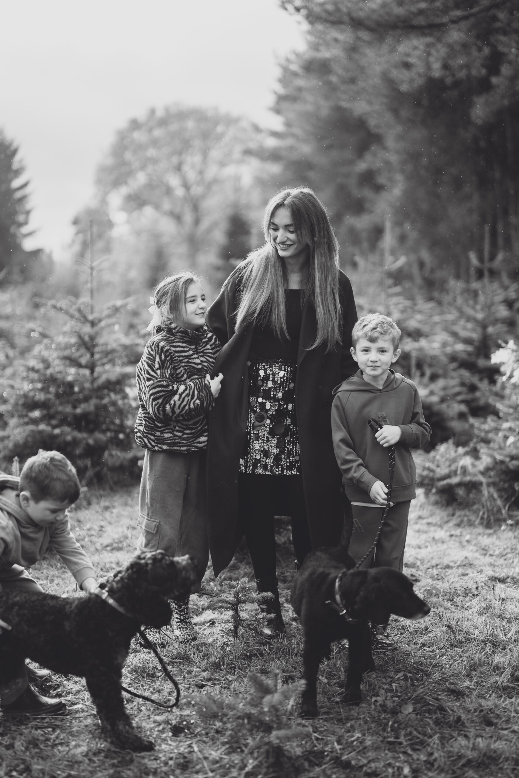 Christmas Tree Farm Mini shoots in Cheshire