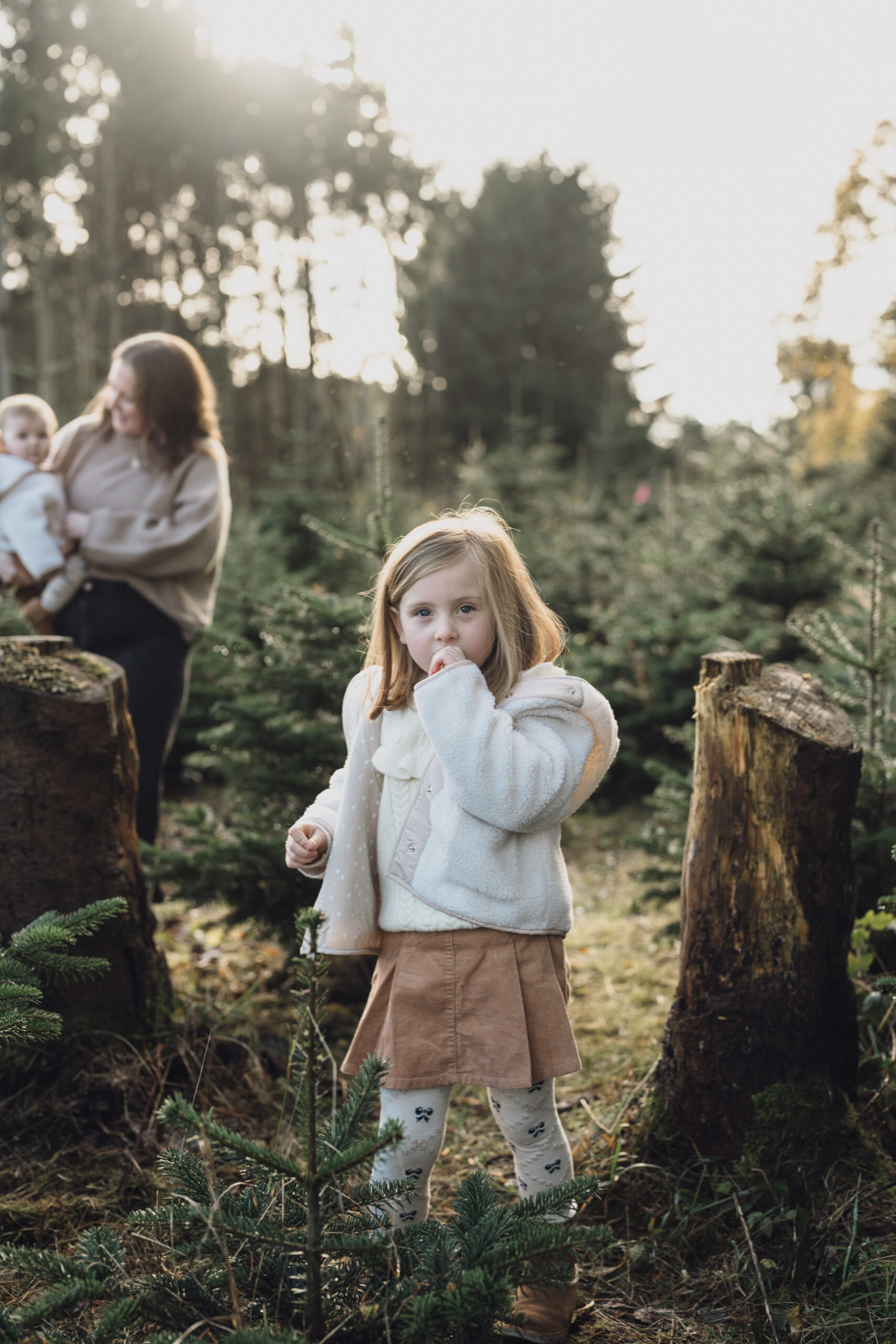 Christmas Tree Farm Mini shoots in Cheshire
