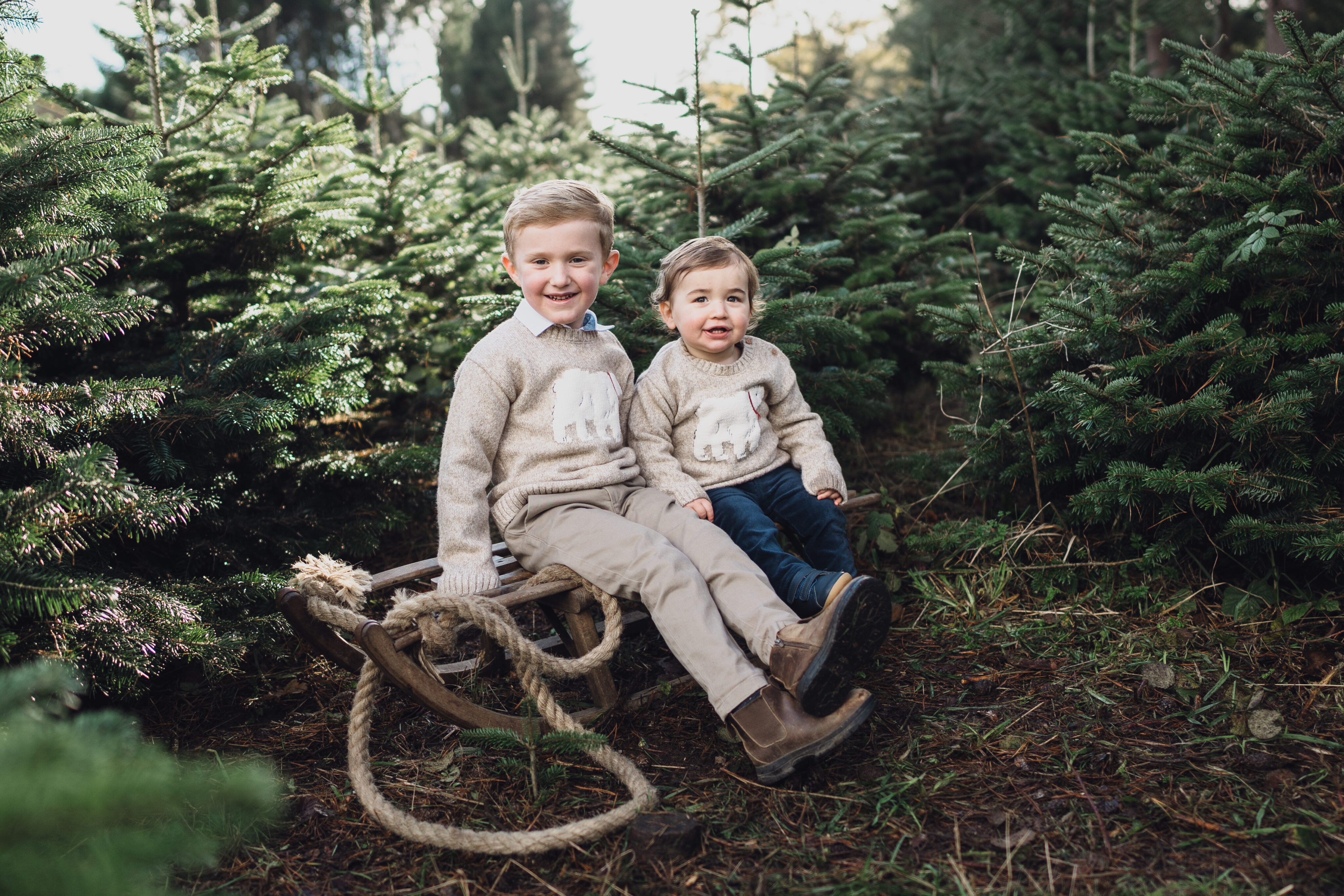 Christmas Tree Farm Mini shoots in Cheshire