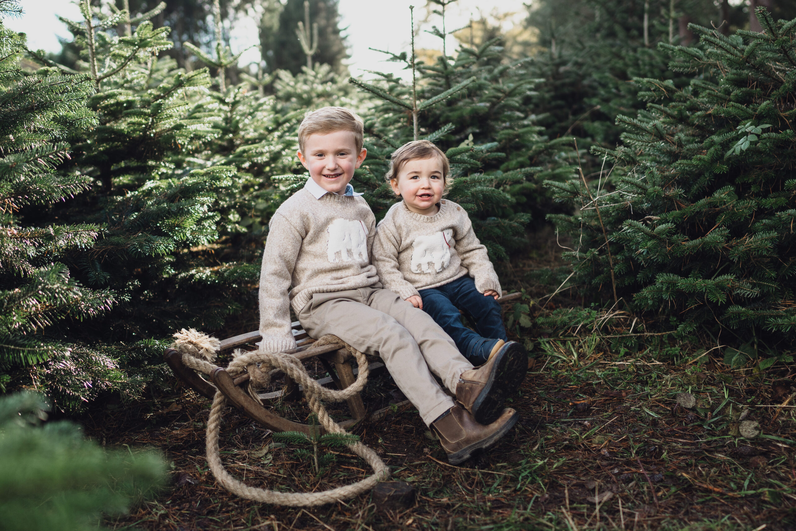 Christmas Tree Farm Mini shoots in Cheshire