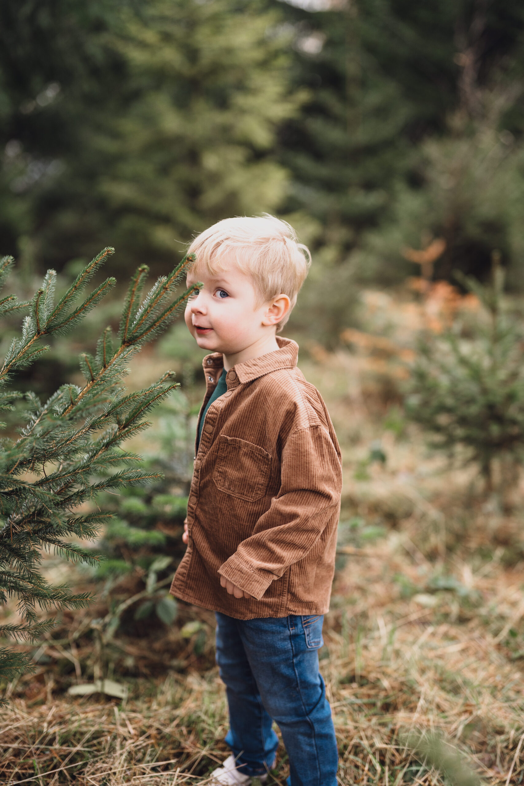 Christmas Tree Farm Mini shoots in Cheshire