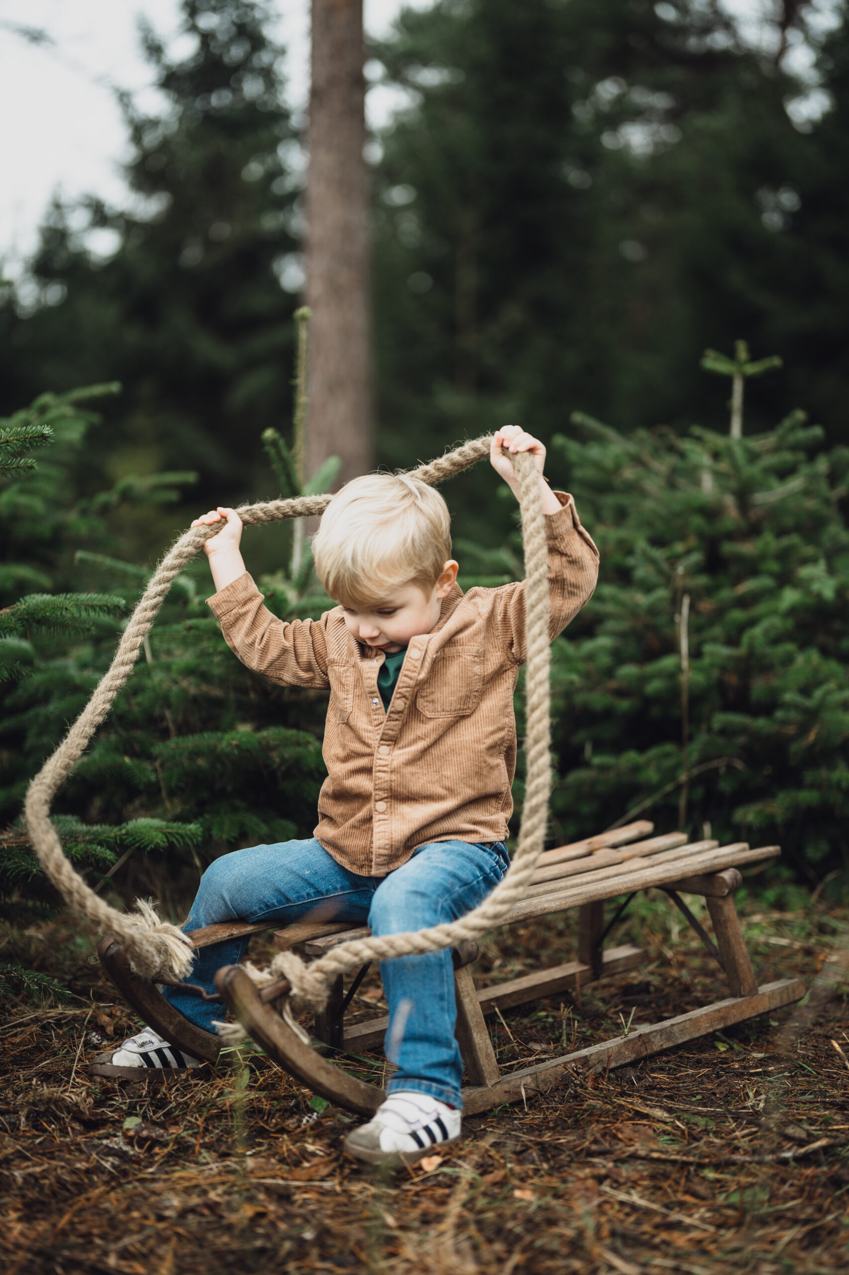 Christmas Tree Farm Mini shoots in Cheshire