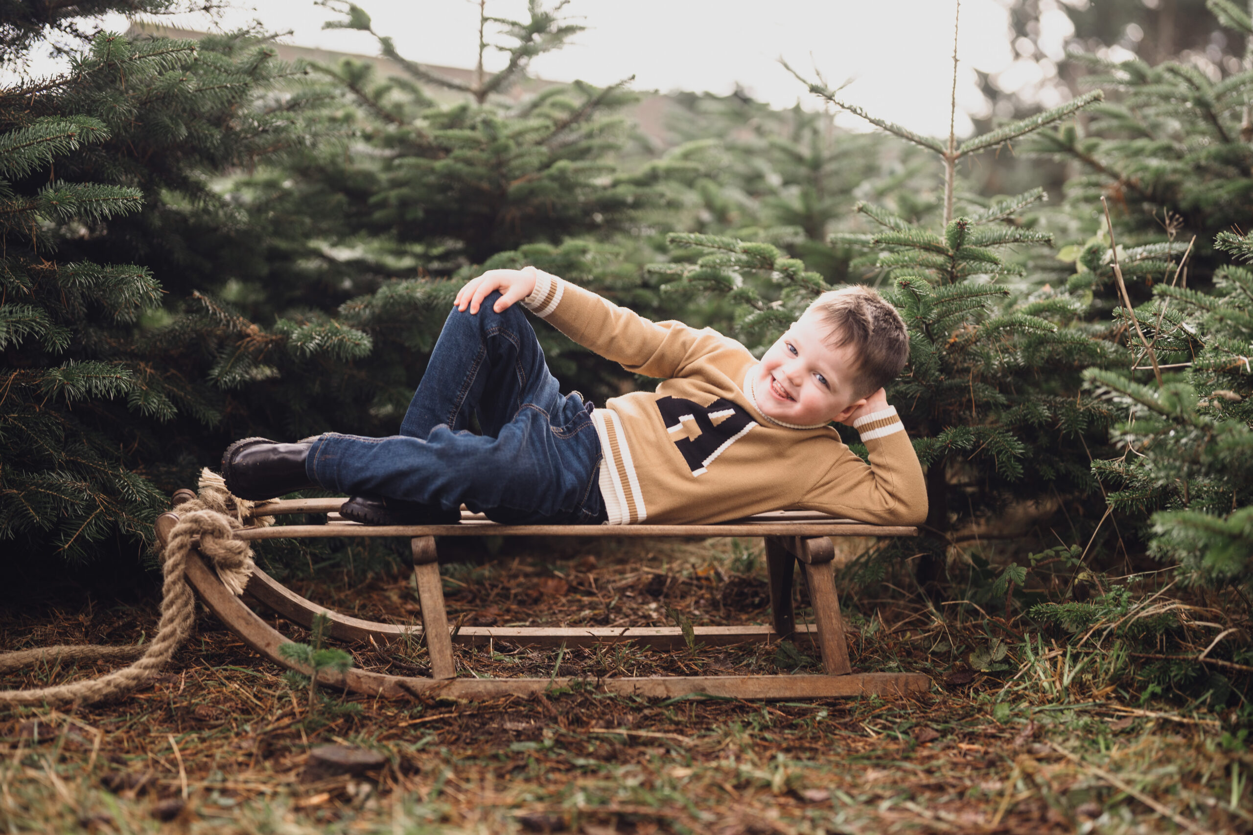 Christmas Tree Farm Mini shoots in Cheshire