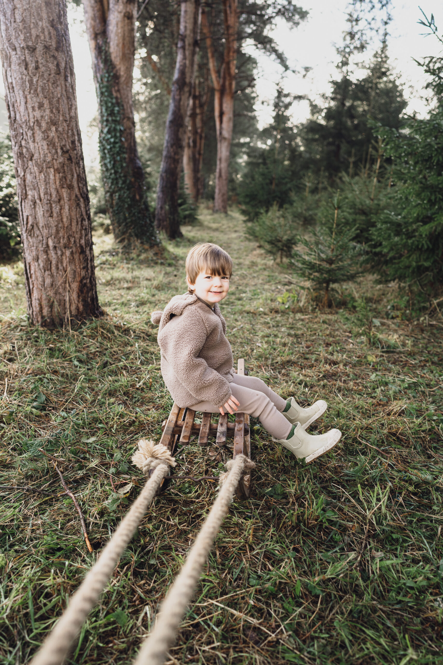 Christmas Tree Farm Mini shoots in Cheshire