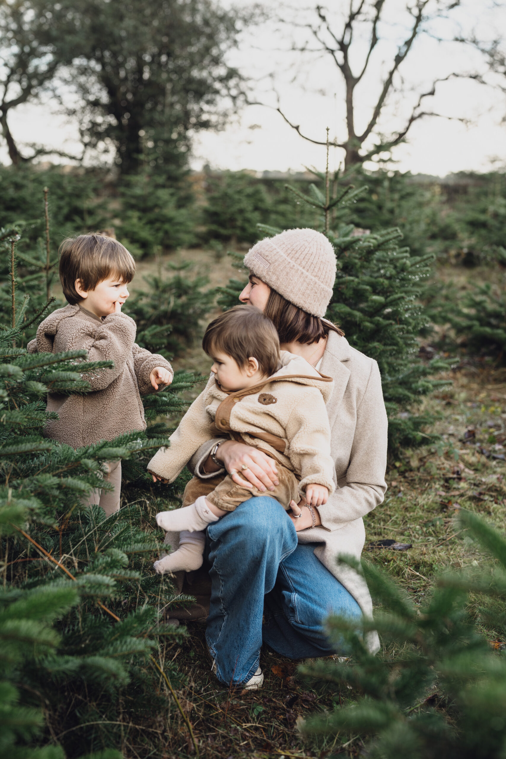 christmas tree farm mini shoot