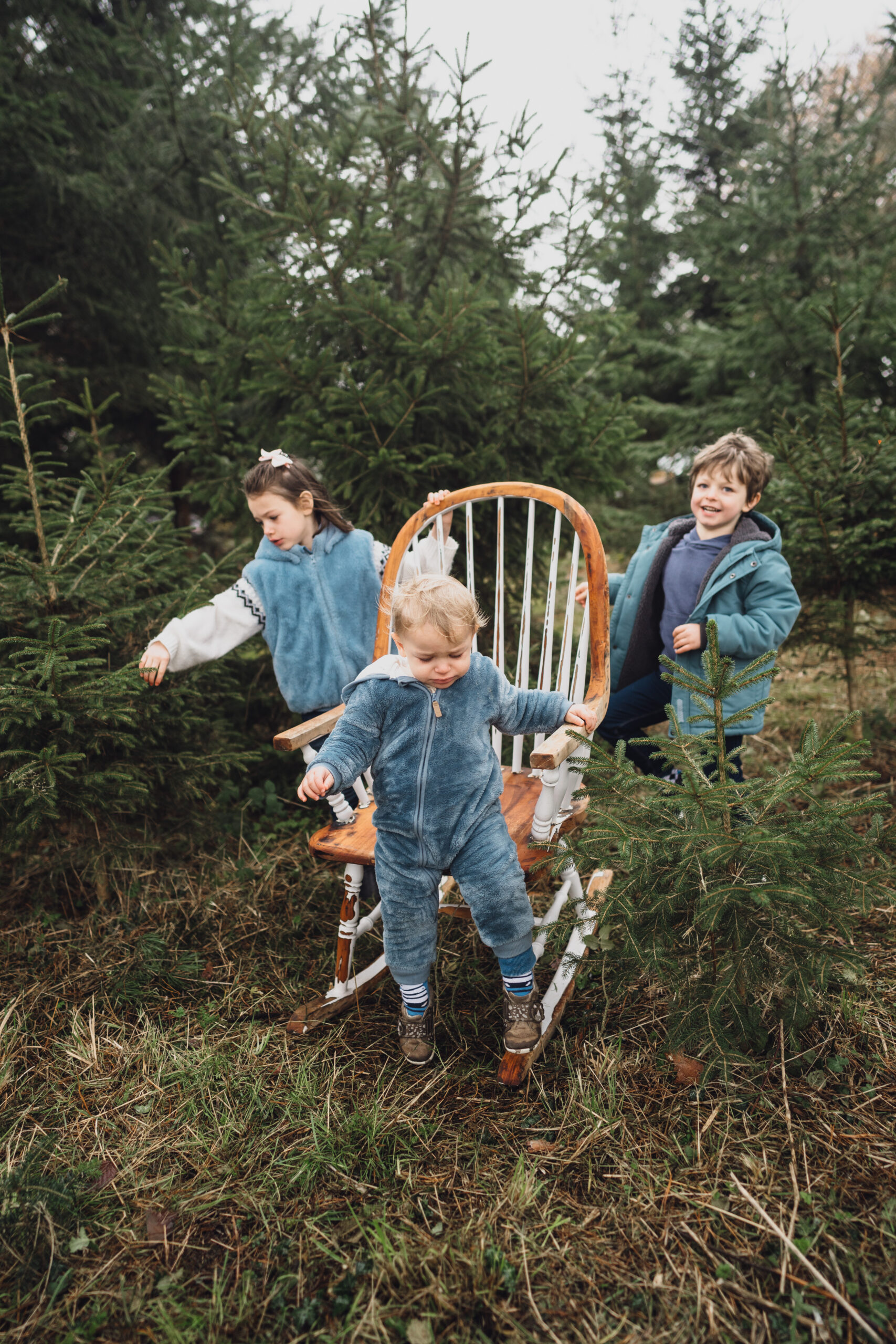 Christmas Tree Farm Mini shoots in Cheshire